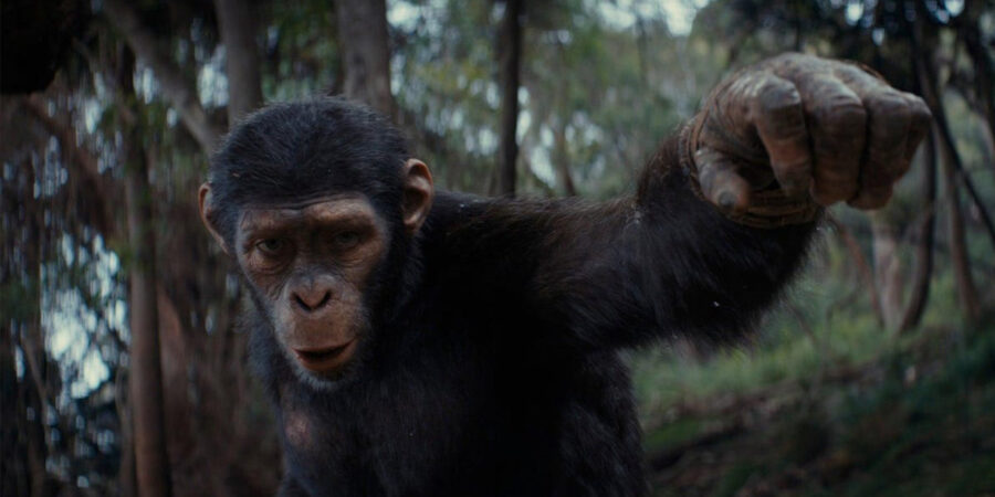Kingdom of the Planet of the Apes