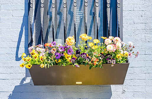 flower box