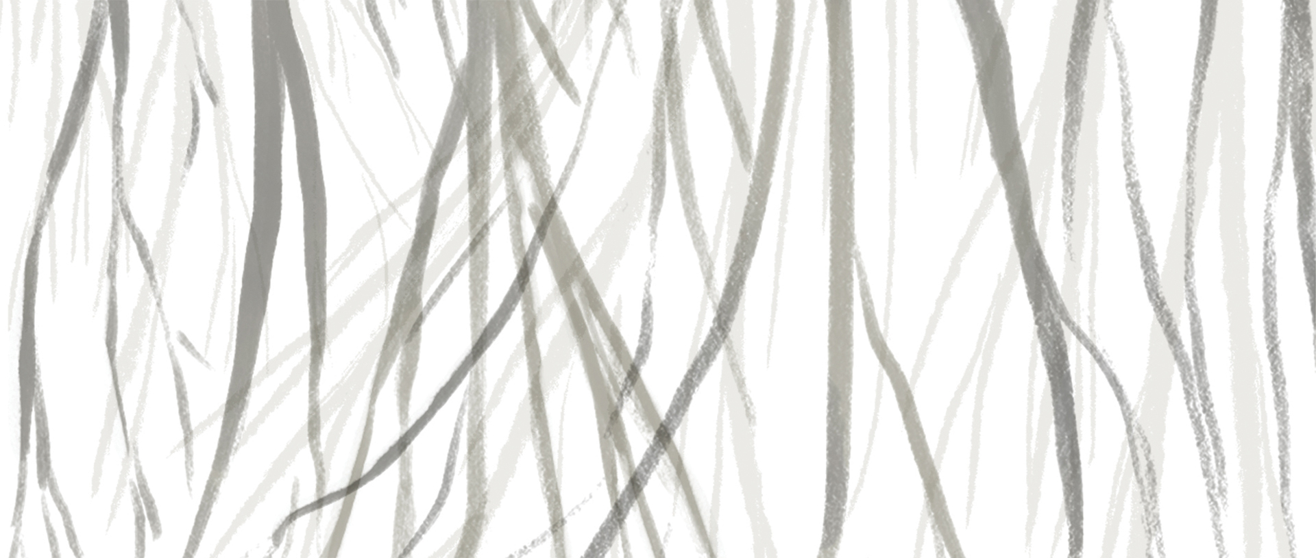 grass illustration