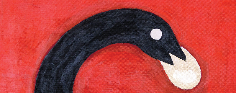 bird illustration