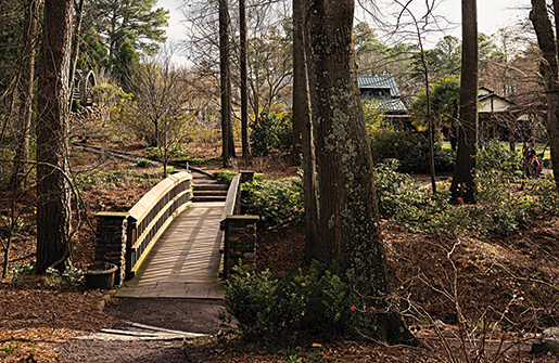 bridge