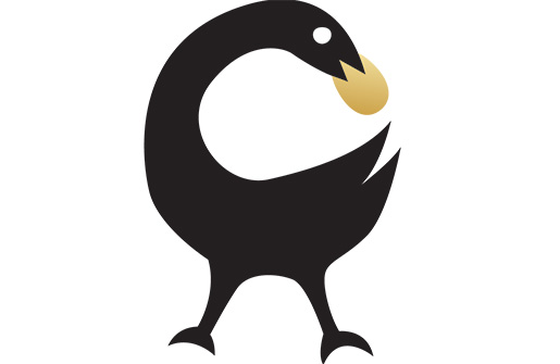 bird illustration