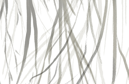 grass illustration